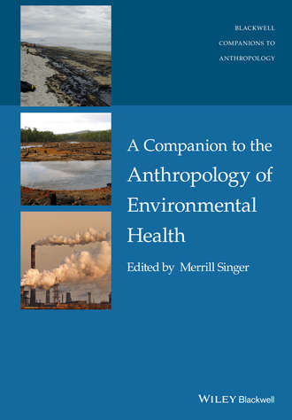 Группа авторов. A Companion to the Anthropology of Environmental Health