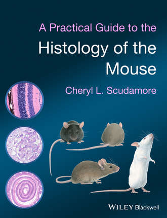 Cheryl L. Scudamore. A Practical Guide to the Histology of the Mouse