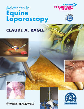 Группа авторов. Advances in Equine Laparoscopy