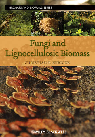 Fungi and Lignocellulosic Biomass. Группа авторов