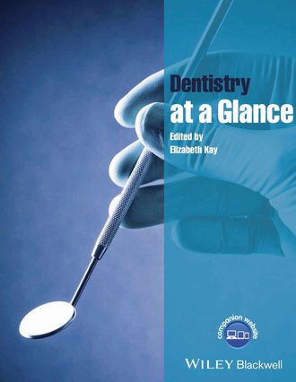 Dentistry at a Glance. Группа авторов