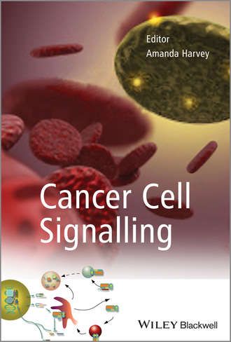 Группа авторов. Cancer Cell Signalling
