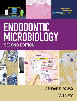 Группа авторов. Endodontic Microbiology