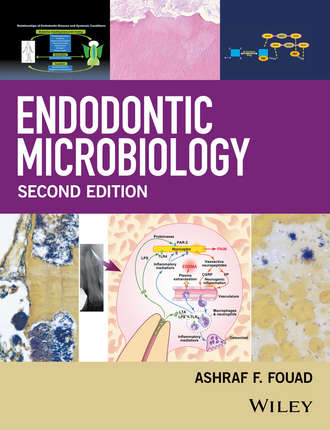 Endodontic Microbiology. Группа авторов