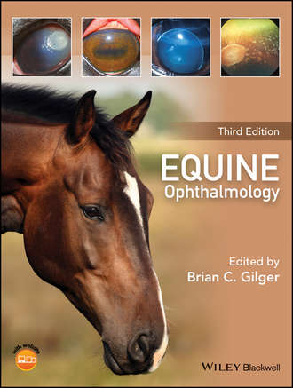 Группа авторов. Equine Ophthalmology