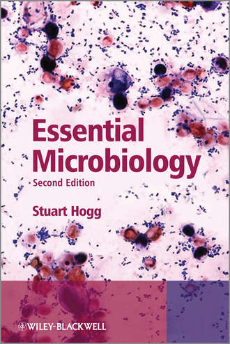 Essential Microbiology. Stuart Hogg