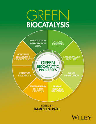 Группа авторов. Green Biocatalysis