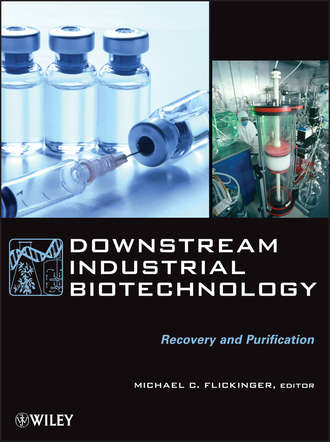 Группа авторов. Downstream Industrial Biotechnology