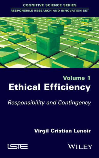 Virgil Cristian Lenoir. Ethical Efficiency