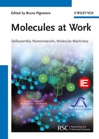 Группа авторов. Molecules at Work