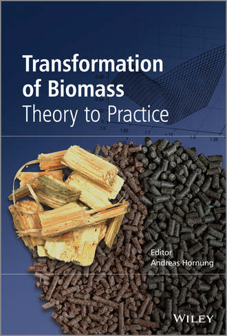 Andreas Hornung. Transformation of Biomass