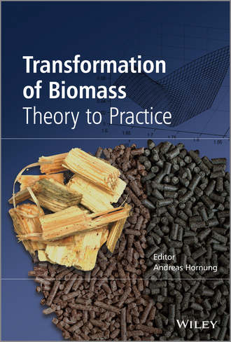 Transformation of Biomass. Andreas Hornung