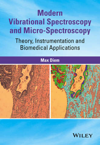 Modern Vibrational Spectroscopy and Micro-Spectroscopy. 