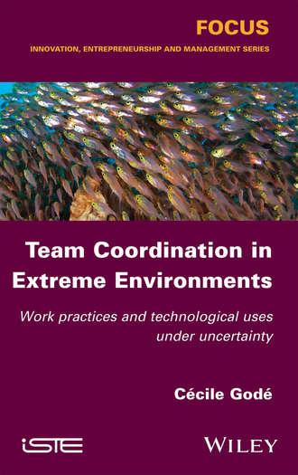 C?cile God?. Team Coordination in Extreme Environments
