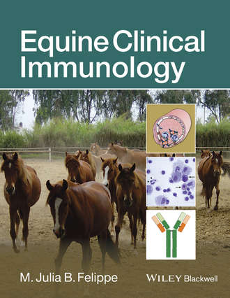 Группа авторов. Equine Clinical Immunology