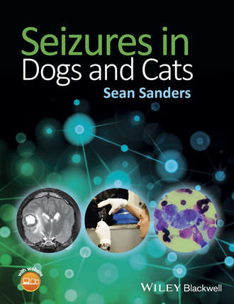 Sean Sanders. Seizures in Dogs and Cats
