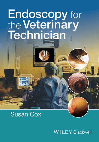 Endoscopy for the Veterinary Technician. Группа авторов