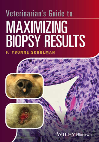 Veterinarian's Guide to Maximizing Biopsy Results. F. Yvonne Schulman