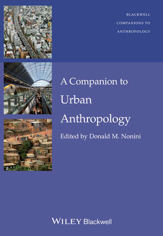 Donald M. Nonini. A Companion to Urban Anthropology