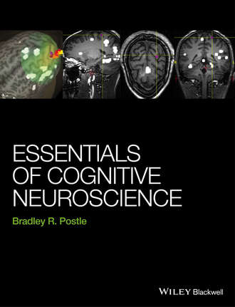 Bradley R.  Postle. Essentials of Cognitive Neuroscience