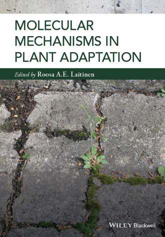 Roosa Laitinen. Molecular Mechanisms in Plant Adaptation