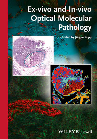 Группа авторов. Ex-vivo and In-vivo Optical Molecular Pathology