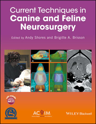 Группа авторов. Current Techniques in Canine and Feline Neurosurgery