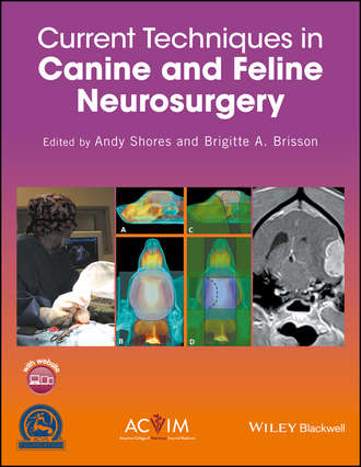 Current Techniques in Canine and Feline Neurosurgery. Группа авторов