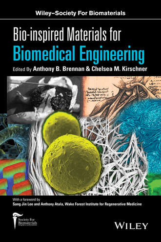 Группа авторов. Bio-inspired Materials for Biomedical Engineering