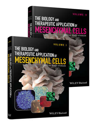 Группа авторов. The Biology and Therapeutic Application of Mesenchymal Cells