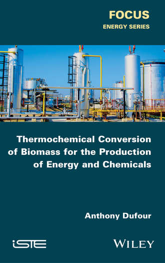 Anthony Dufour. Thermochemical Conversion of Biomass for the Production of Energy and Chemicals
