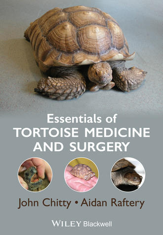 John Chitty. Essentials of Tortoise Medicine and Surgery