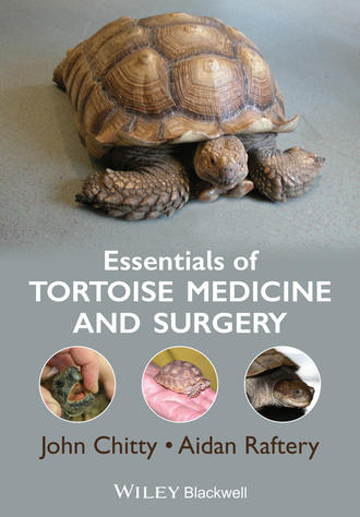 Essentials of Tortoise Medicine and Surgery. John Chitty