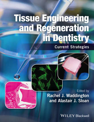 Tissue Engineering and Regeneration in Dentistry. Группа авторов