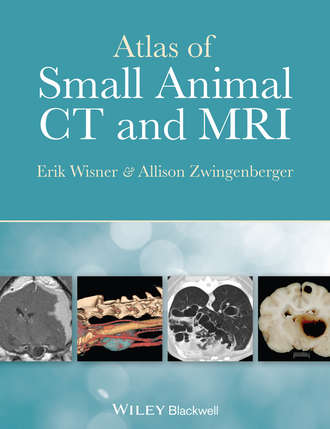 Atlas of Small Animal CT and MRI. Erik Wisner