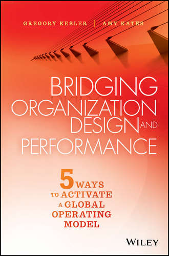 Gregory Kesler. Bridging Organization Design and Performance