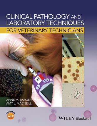 Группа авторов. Clinical Pathology and Laboratory Techniques for Veterinary Technicians