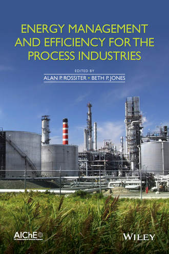 Группа авторов. Energy Management and Efficiency for the Process Industries