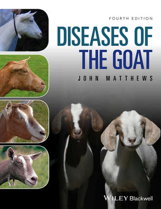 John G. Matthews. Diseases of The Goat