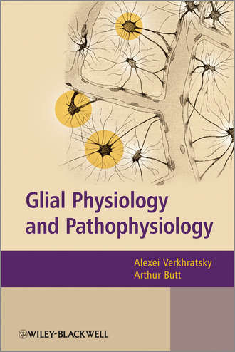 Группа авторов. Glial Physiology and Pathophysiology