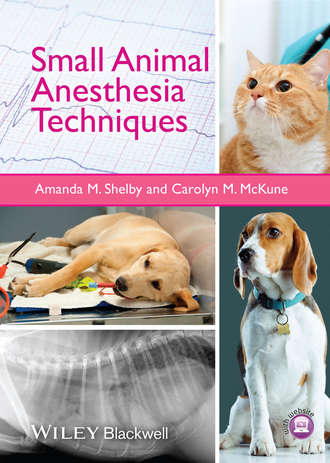 Amanda M. Shelby. Small Animal Anesthesia Techniques