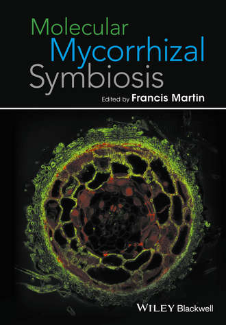 Группа авторов. Molecular Mycorrhizal Symbiosis
