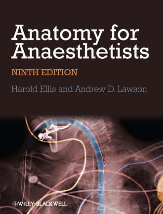 Andrew Lawson B.. Anatomy for Anaesthetists