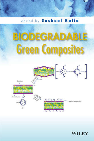 Группа авторов. Biodegradable Green Composites