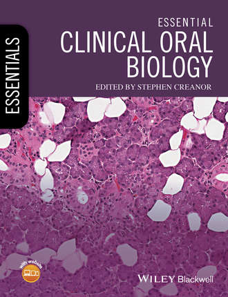 Группа авторов. Essential Clinical Oral Biology