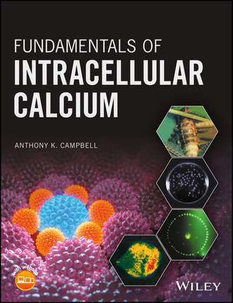 Fundamentals of Intracellular Calcium. Anthony K. Campbell