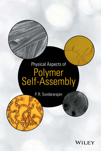 P. R. Sundararajan. Physical Aspects of Polymer Self-Assembly
