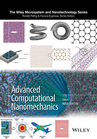 Nuno Silvestre. Advanced Computational Nanomechanics