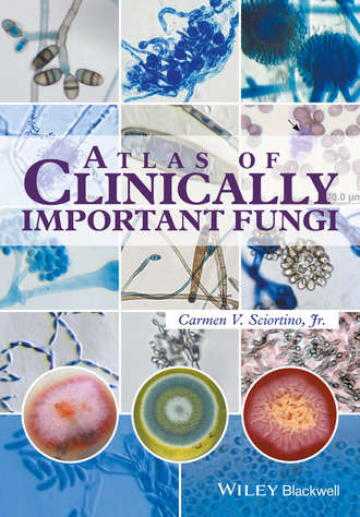 Carmen V. Sciortino, Jr.. Atlas of Clinically Important Fungi
