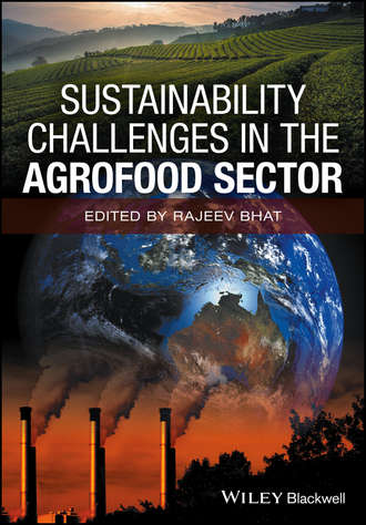 Группа авторов. Sustainability Challenges in the Agrofood Sector